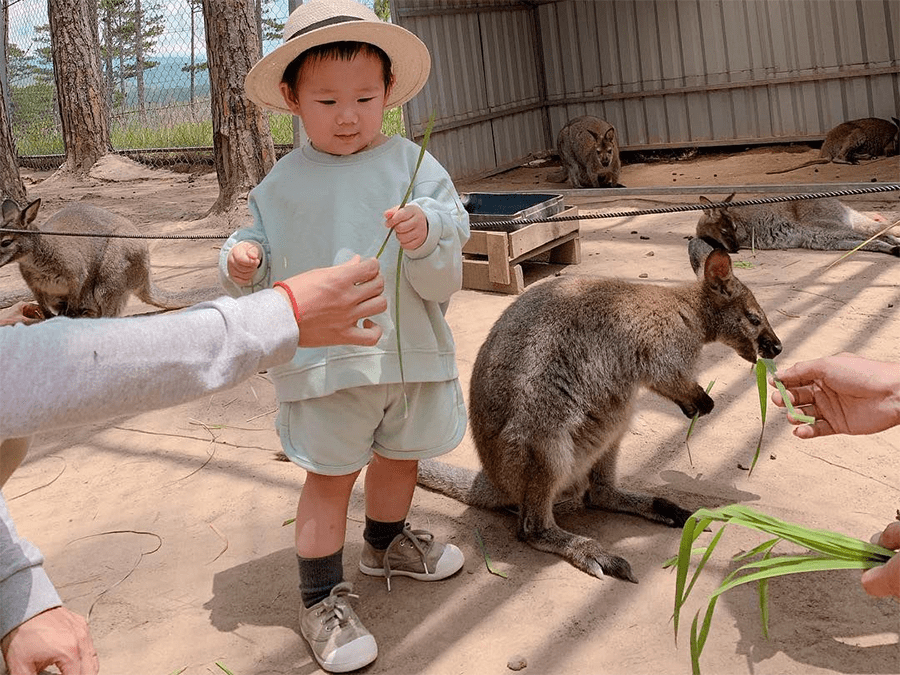 Sở thú ZooDoo