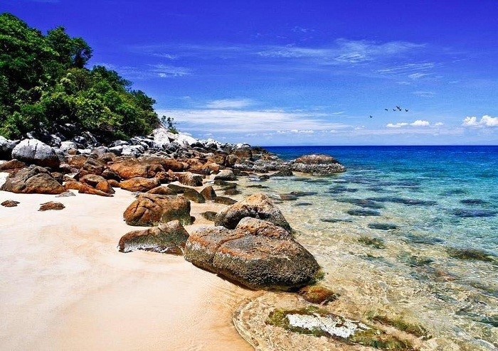 Tất tần tật kinh nghiệm du lịch Cù Lao Chàm