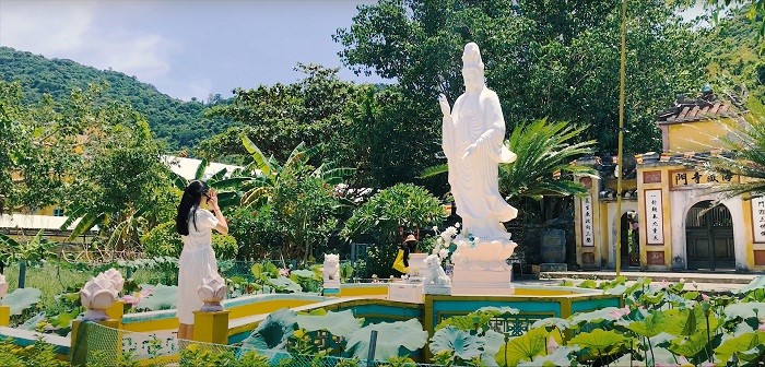 Tất tần tật kinh nghiệm du lịch Cù Lao Chàm