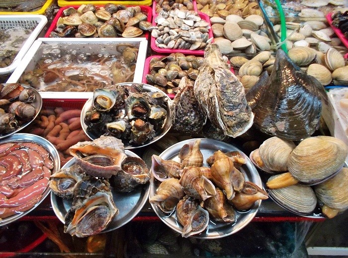 Tất tần tật kinh nghiệm du lịch Cù Lao Chàm