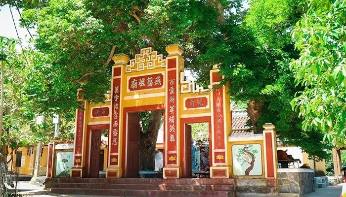 Tất tần tật kinh nghiệm du lịch Cù Lao Chàm