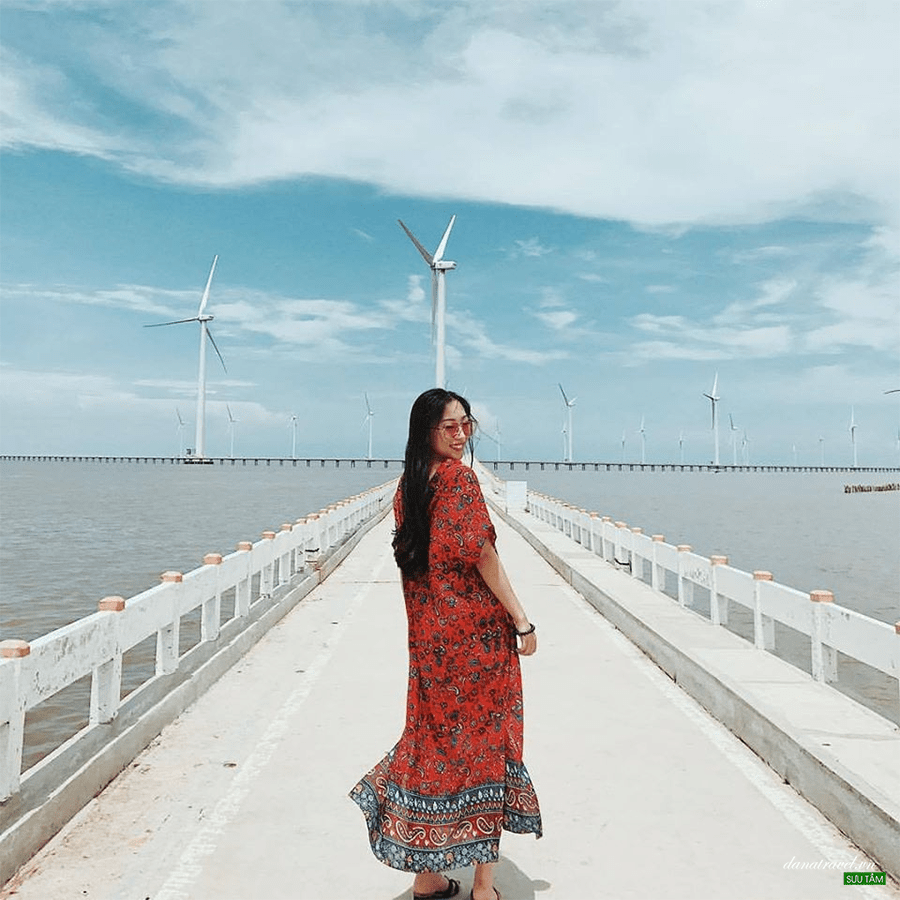 cánh đồng điện gió