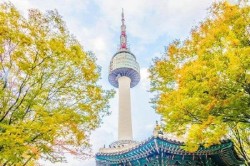 TOUR KHÁM PHÁ HÀN QUỐC MÙA HOA ANH ĐÀO 
