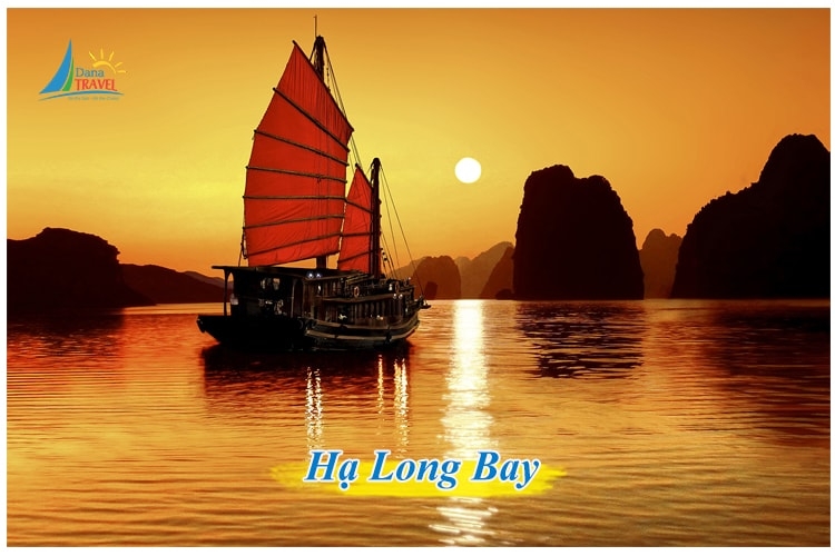 Tour khám phá Hạ Long 1 ngày trọn gói giá tốt khởi hành hằng ngày từ Hà Nội